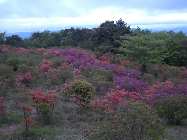 �`���`��������