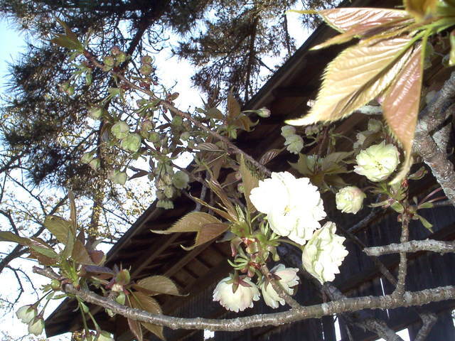 �`���`��������