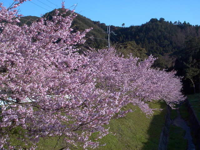 �`���`��������