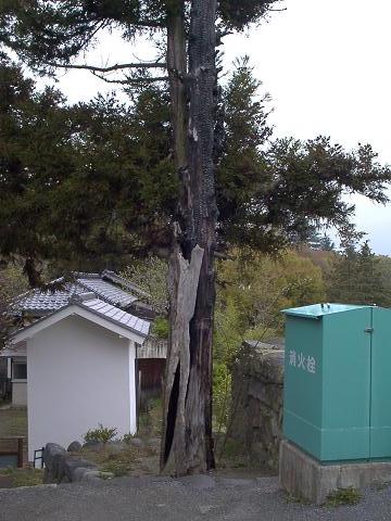 �`���`��������