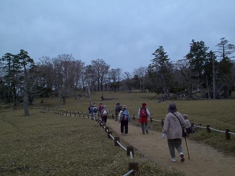 �`���`��������