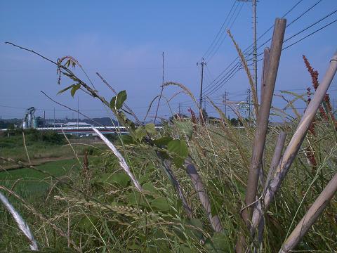 �`���`��������