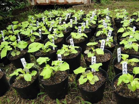 �`���`��������