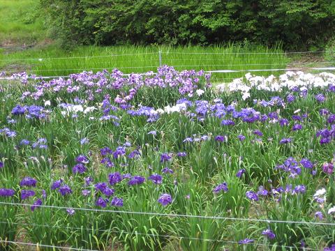 �`���`��������