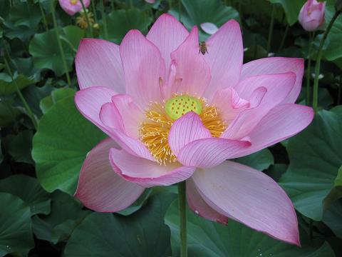 �`���`��������