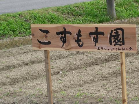 �`���`��������