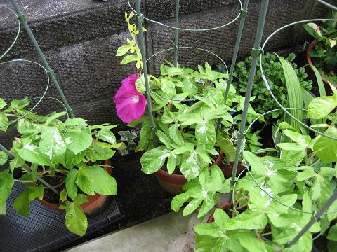 �`���`��������