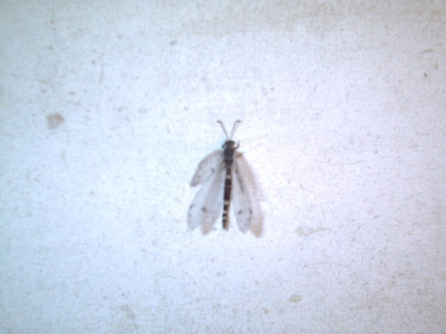 �`���`��������