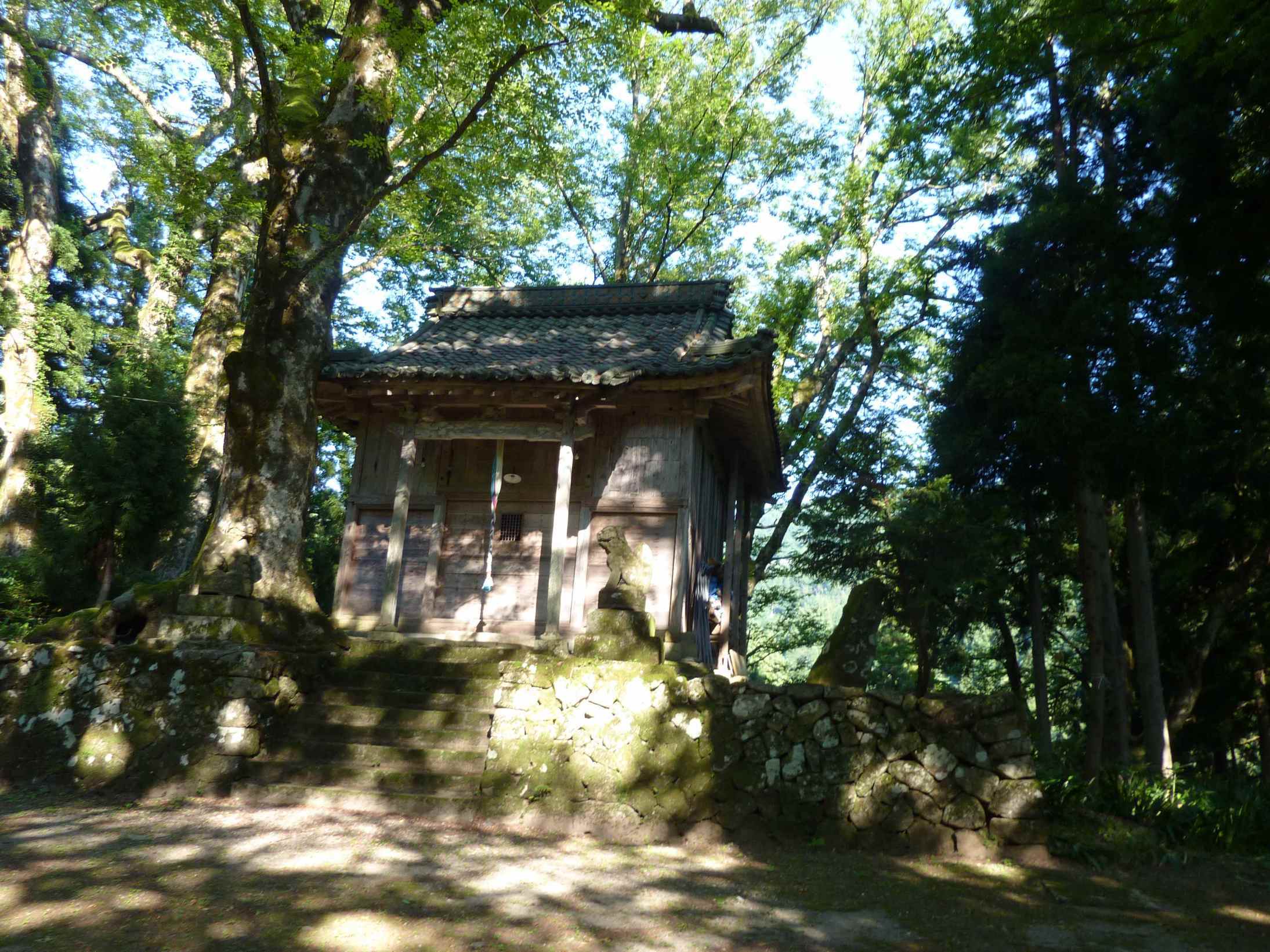 �n�C�o�̃������[