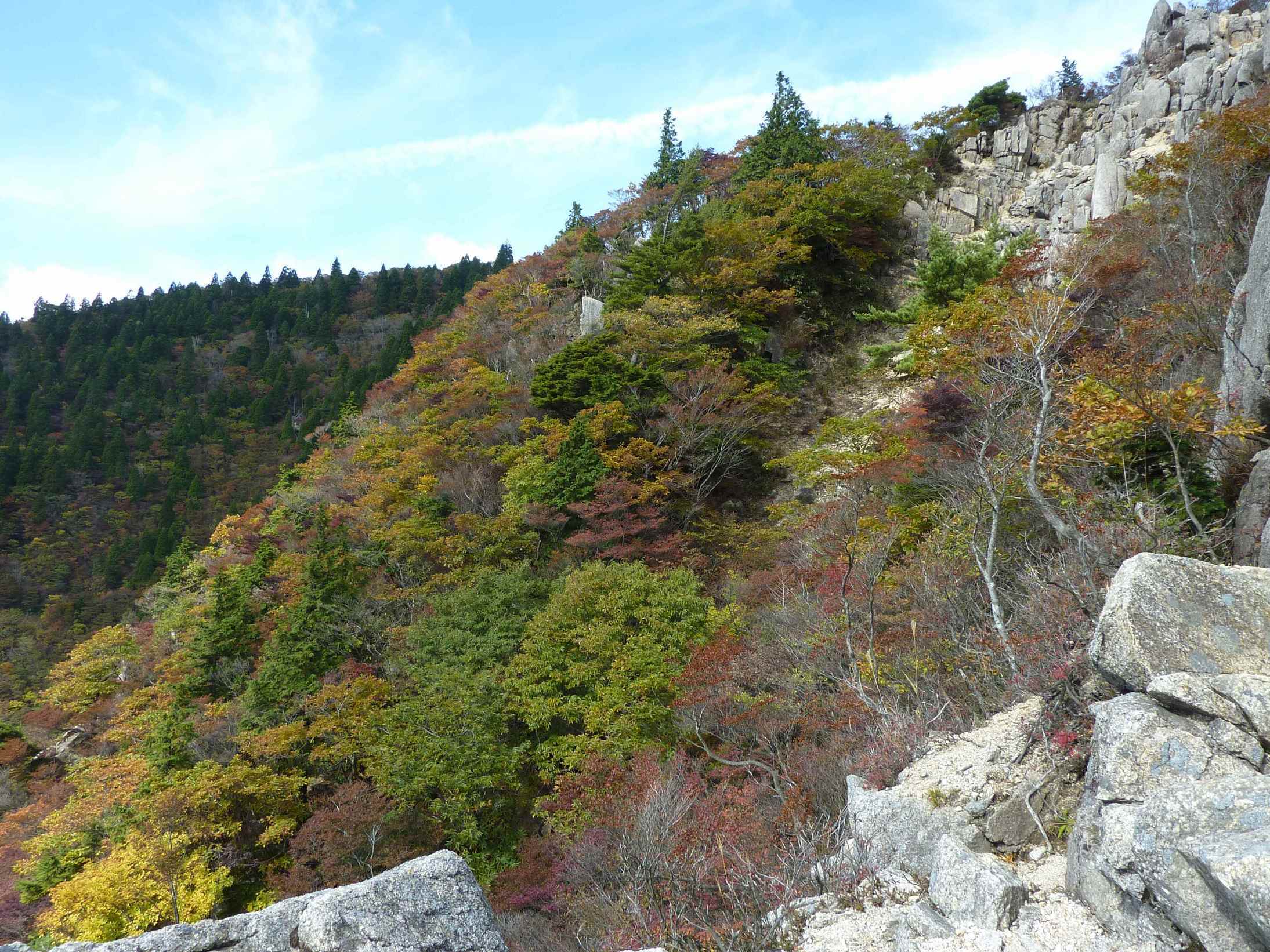 �n�C�o�̃������[