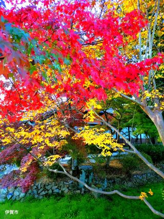 ɉs̍gt@LQρiXpuL̂ᔎف@eBYEJtFj