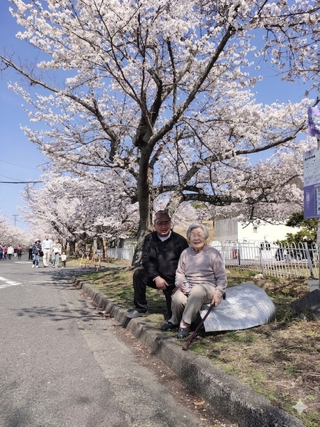 �X�p�u���L�̂������ᔎ���ف@�e�B���Y�E�J�t�F