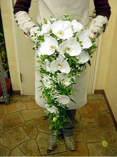 �t�����[���O���[���̎��┠