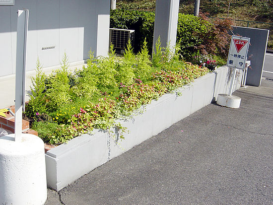 �t�����[���O���[���̎��┠