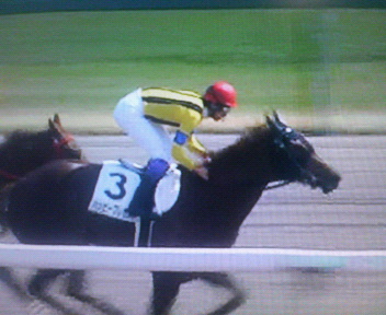 �n�b�s�[�v���[���g