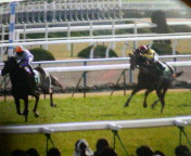 �n�b�s�[�v���[���g