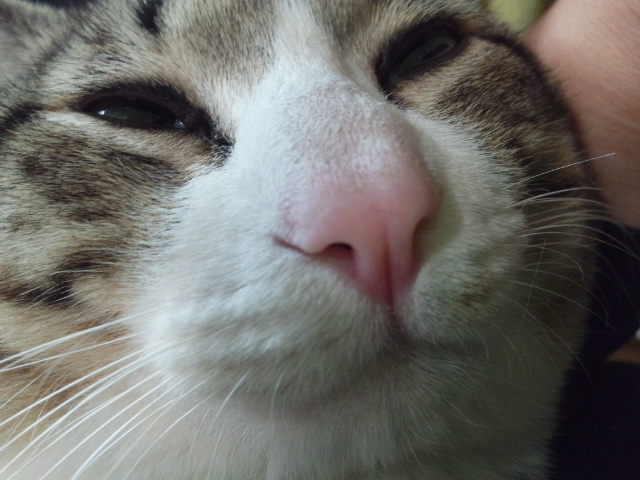 My Station �`tower of wish�`