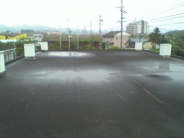 �y���L�̂��X���ɓ��h��