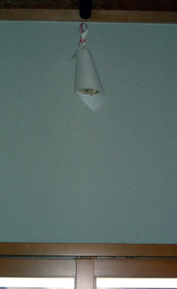 �C�����͐t��