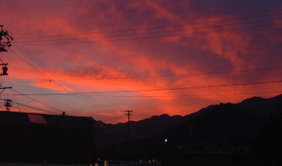 �C�����͐t��