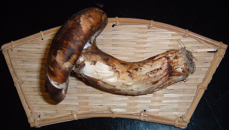 �C�����͐t��