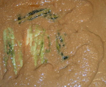 �C�����͐t��