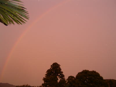 �C�����͐t��