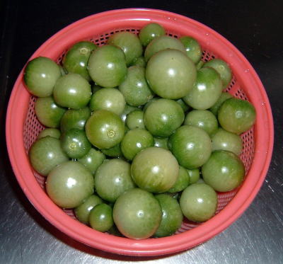 �C�����͐t��