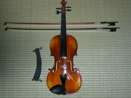 violin�ƃn���K��-�_���X�̂�������