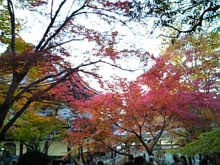 �ݑ�T�@�u���O��