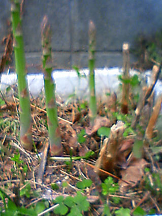 �ݑ�T�@�u���O��