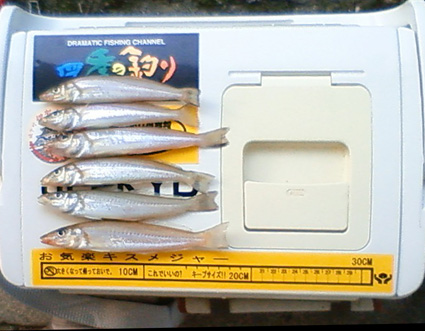 �ݑ�T�@�u���O��