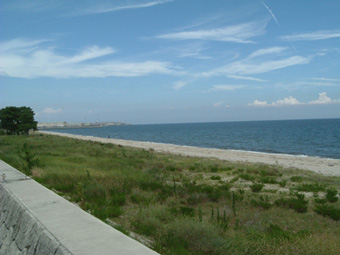 �ݑ�T�@�u���O��