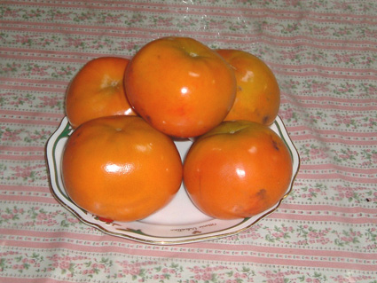 �ݑ�T�@�u���O��