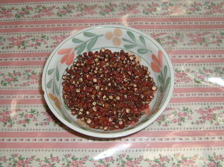 �ݑ�T�@�u���O��