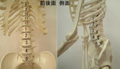 �ݑ�T�@�u���O��