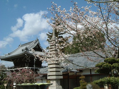 �ݑ�T�@�u���O��