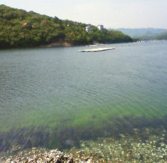 �ݑ�T�@�u���O��