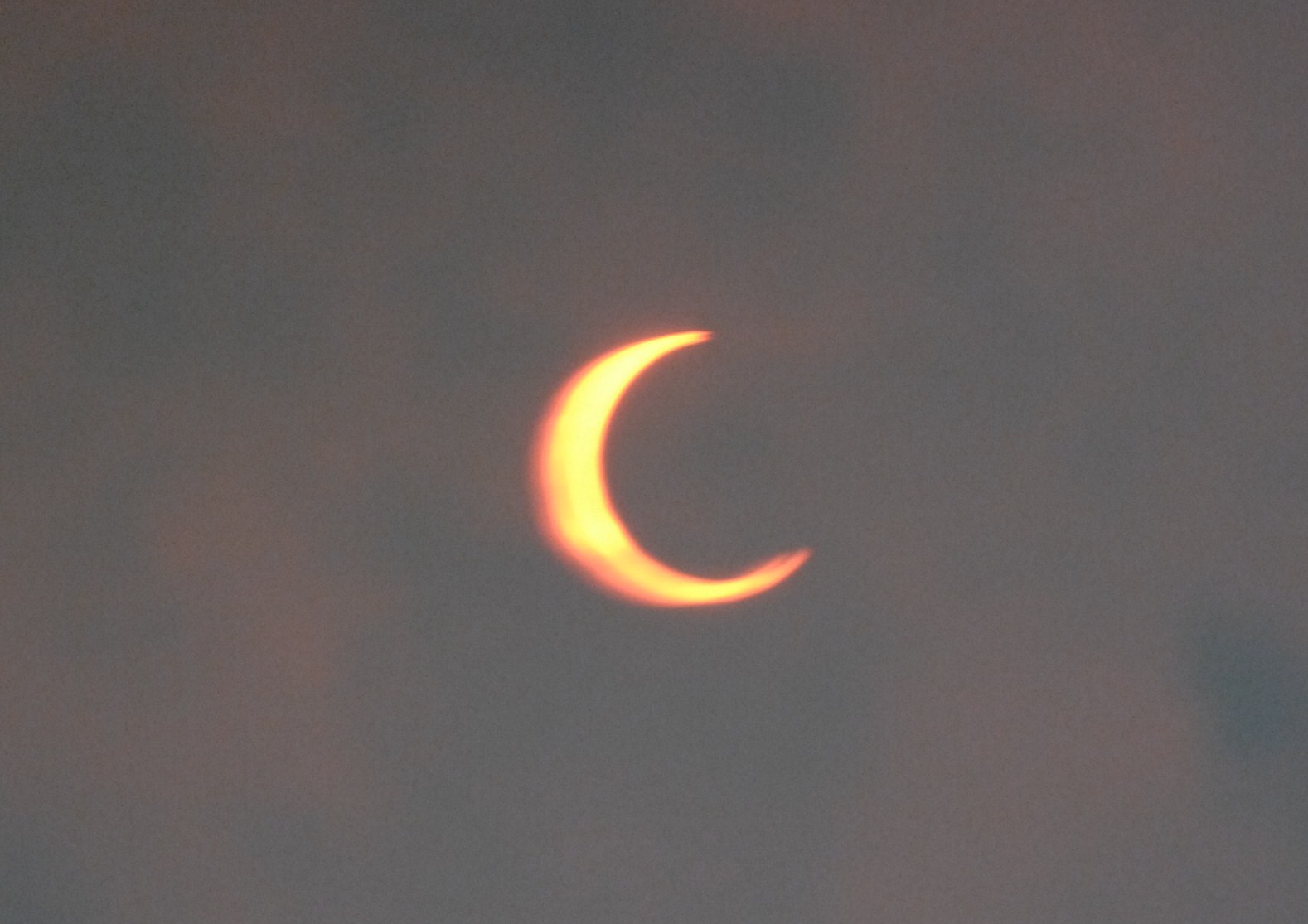 �쑽�����̓c�ɕ�炵