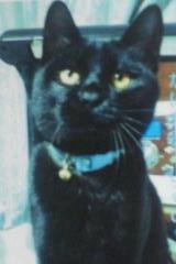 �k��K������