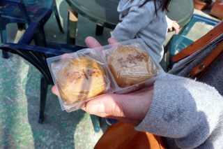 ���{�t�@�~���[�̏o����