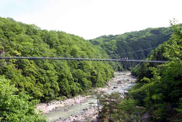 ���{�t�@�~���[�̏o����