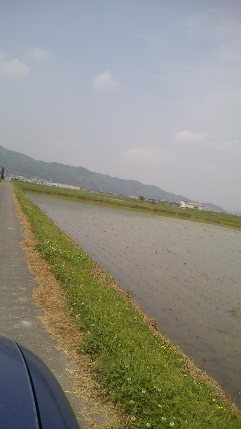 ������blog