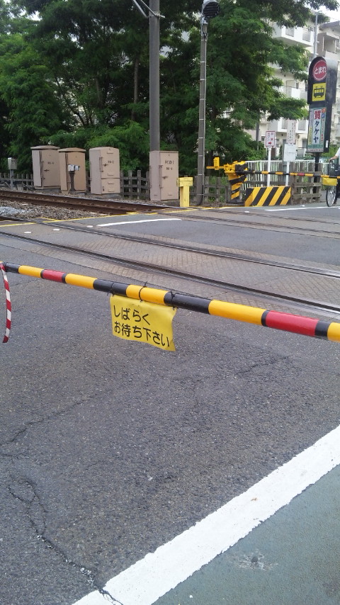 ������blog