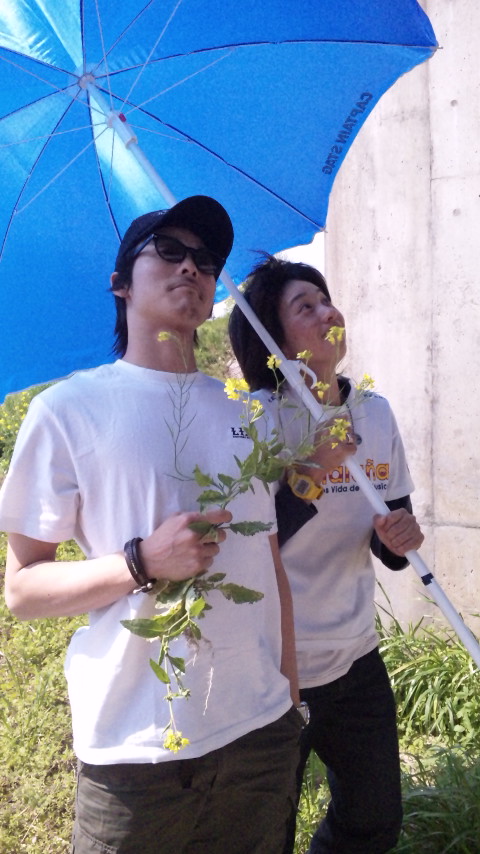 ������blog