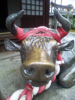 ������blog