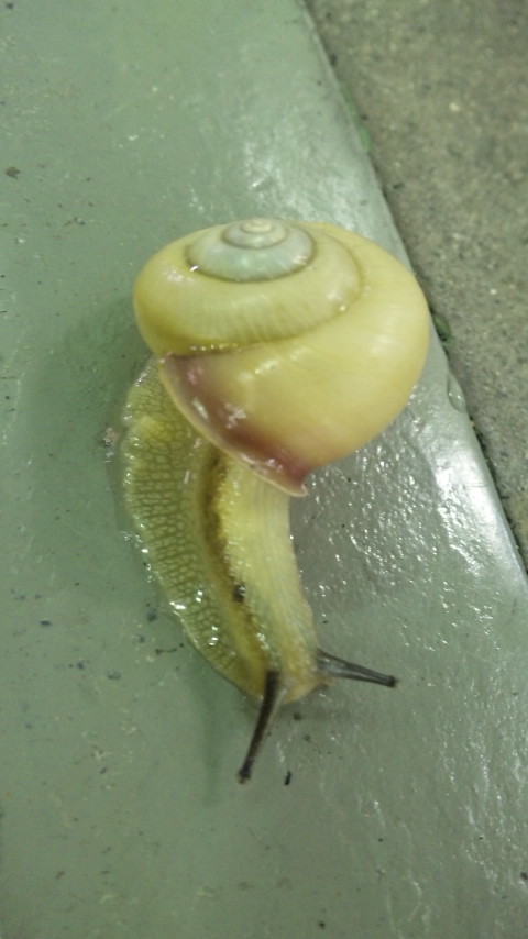 ������blog