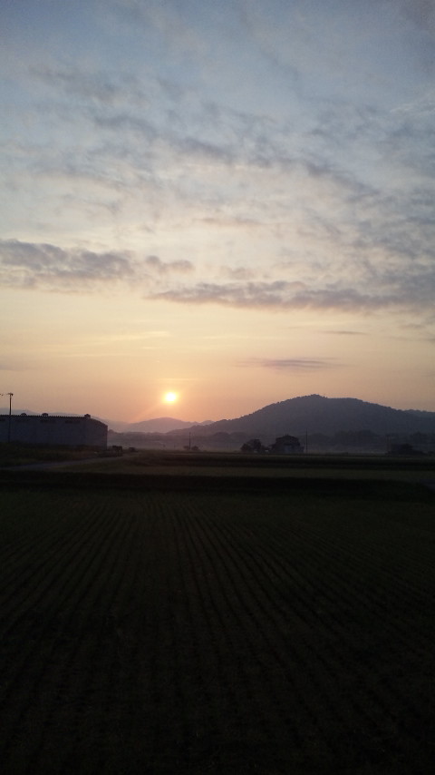 ������blog