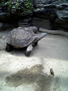 ������blog