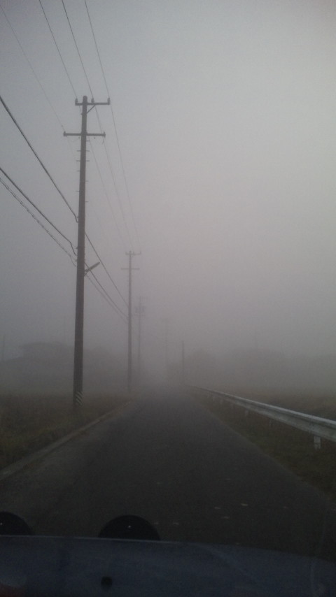 ������blog